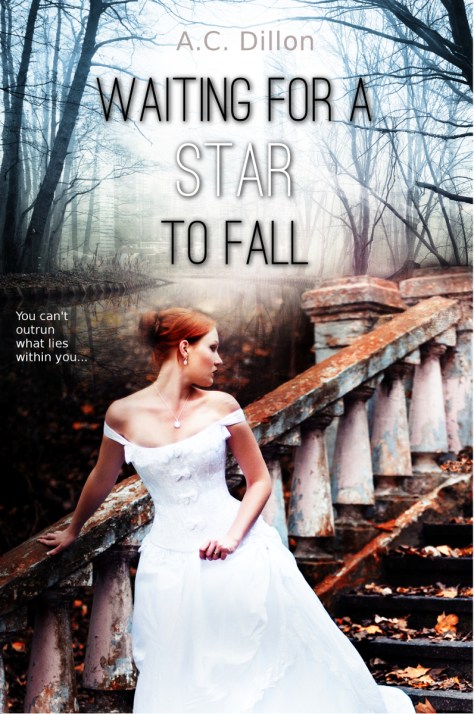 Waiting For A Star To Fall A.C. Dillon